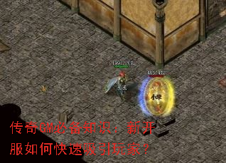 ����GM�ر�֪ʶ���¿�����ο���������ң�