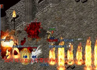 �����Ч��ռ�������ɽ��