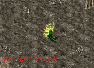 �����Ч��ռ�������ɽ��