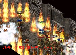 �¿�������ο�������������