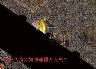 �¿�������ο�������������