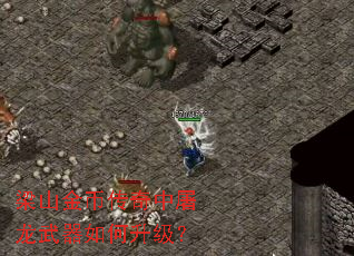 ��ɽ��Ҵ����������������������