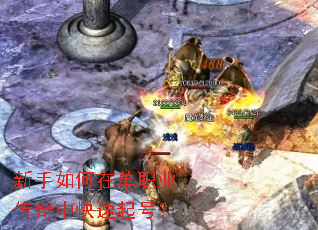 ��������ڵ�ְҵ�����п�����ţ�