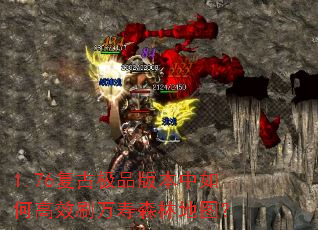 1.76���ż�Ʒ�汾����θ�Чˢ����ɭ�ֵ�ͼ��