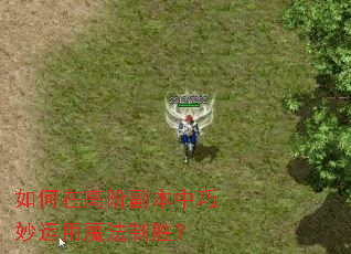 ����ڸ߽׸�������������ħ����ʤ��