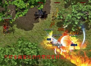 ����ȫ������Ĵ��澿��ʲô����