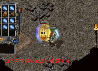 ����ٻ��ѱ�ĸ��Ŵ��汦����