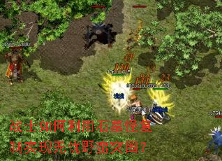 սʿ�������ʯĹ�ָ���ʵ������Ұ��ͻΧ��