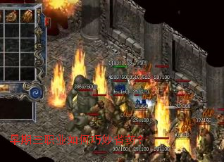 ������ְҵ�������ʡҩ��