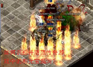 ���ʶ�𲢷���������Ϸ�е�ˢԪ��©����