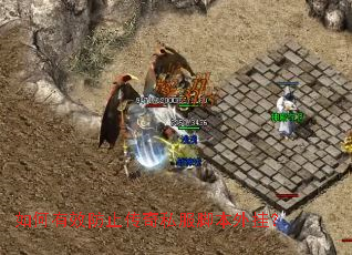 �����Ч��ֹ����˽���ű���ң�