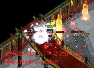 ˫ͷ�����ô������ҷ�������sf����boss����