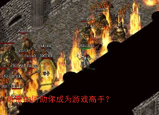 ������������Ϊ��Ϸ���֣�