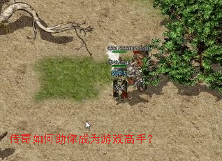 ������������Ϊ��Ϸ���֣�