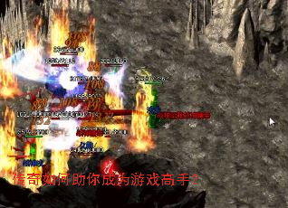 ������������Ϊ��Ϸ���֣�