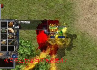 ����ְҵ������ο���������