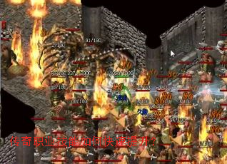 ����ְҵ������ο���������