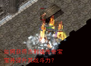 ��λ�ü��������汦����������ս������