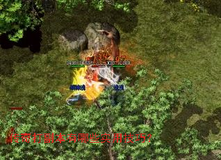 ����򸱱�����Щʵ�ü��ɣ�