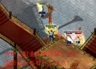 ������ְҵ���ѡ��սʿ��ʦ��ʿ����ʲô�ص㣿