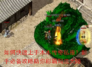 ��ο�������ľľ����˽�������ֱر���������ư��귨��½