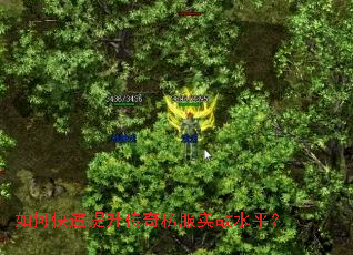 ��ο�����������˽��ʵսˮƽ��