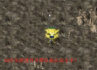 ��ο�����������˽��ʵսˮƽ��