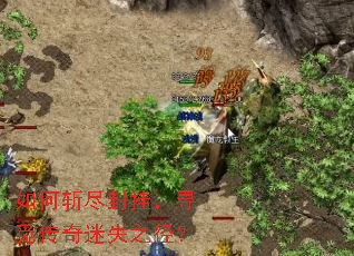 ���ն����ң�Ѱ�ٴ�����ʧ֮����