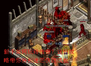 ���������ת���棿��ݹ��Դ�������ã���ٳɳ�