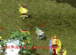 ��ο�������˽���е�˽�Ĺ��ܣ�