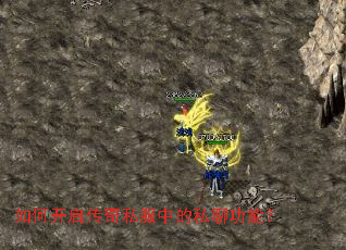 ��ο�������˽���е�˽�Ĺ��ܣ�