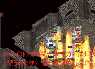 սʿ��ο�������ս��������ʦ������δ�������Ч����ʿ�ٻ�����ô������ǿ��