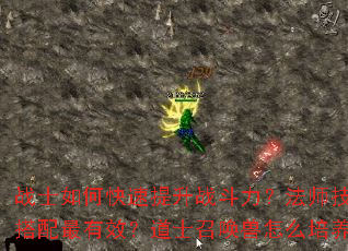 սʿ��ο�������ս��������ʦ������δ�������Ч����ʿ�ٻ�����ô������ǿ��