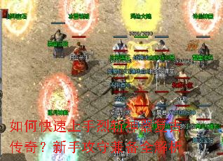 ��ο���������ն�������Ŵ��棿���ֹ��ؼ汸ȫ����