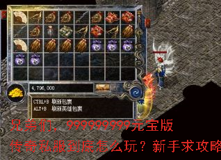 �ֵ��ǣ�999999999Ԫ���洫��˽��������ô�棿��������