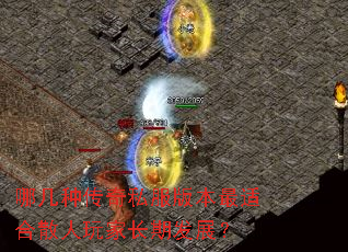 �ļ��ִ���˽���汾���ʺ�ɢ����ҳ��ڷ�չ��