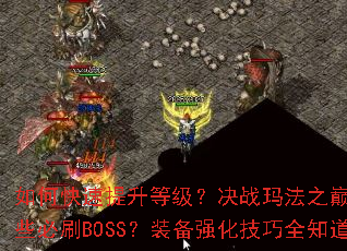 ��ο��������ȼ�����ս�귨֮������Щ��ˢBOSS��װ��ǿ������ȫ֪��