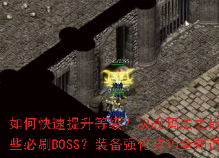 ��ο��������ȼ�����ս�귨֮������Щ��ˢBOSS��װ��ǿ������ȫ֪��