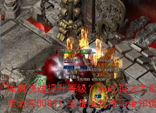 ��ο��������ȼ�����ս�귨֮������Щ��ˢBOSS��װ��ǿ������ȫ֪��