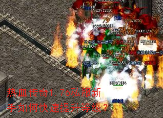 ��Ѫ����1.76˽��������ο��������ȼ���