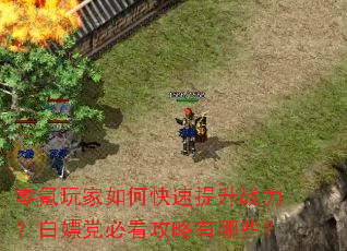 ��������ο�������ս�������ε��ؿ���������Щ��