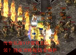 ����˽��VIP������ô�죿���ҹ����ؼ�ȫ����