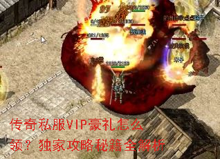 ����˽��VIP������ô�죿���ҹ����ؼ�ȫ����