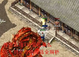 ����˽��VIP������ô�죿���ҹ����ؼ�ȫ����