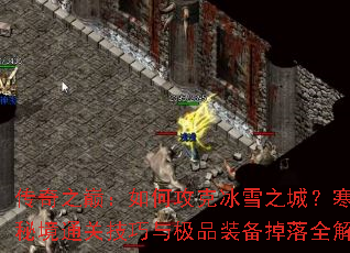 ����֮�ۣ���ι��˱�ѩ֮�ǣ������ؾ�ͨ�ؼ����뼫Ʒװ������ȫ����