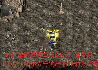 ��ʦ��η��ݸ߼�BOSS���ǻҼ���ҷ��������������˵�ʵս����