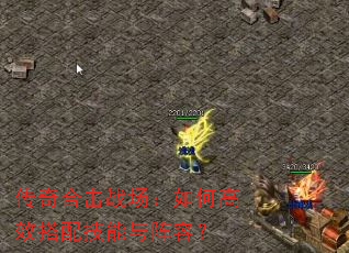 ����ϻ�ս������θ�Ч���似�������ݣ�