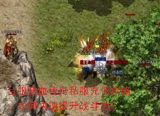 ̨����Ѫ����˽����ֵ���ԣ���ο�������ս������