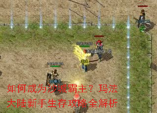 ��γ�Ϊɳ�ǰ������귨��½�������湥��ȫ����