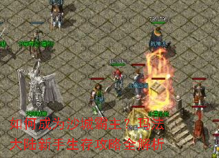 ��γ�Ϊɳ�ǰ������귨��½�������湥��ȫ����